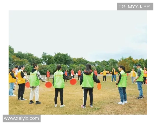 南京飞盘队技术探讨：提升团队协作与个人技能的关键要素