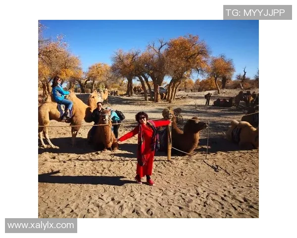 深度对话杨强探讨足球人生的起伏与梦想追逐